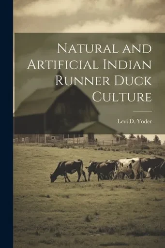 Natural And Artificial Indian Runner Duck Culture