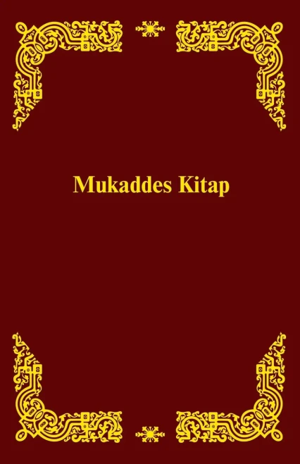 Spanish Braille Bible: Gospel Of Matthew (English And Turkmen Edition)