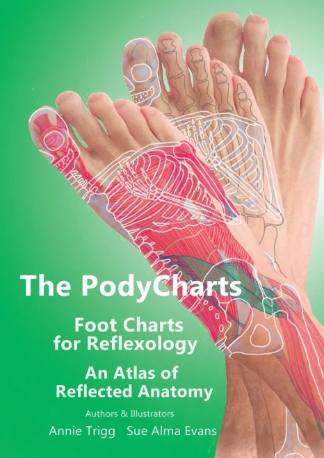 The Podycharts Foot Charts For Reflexology: An Atlas Of Reflected Anatomy