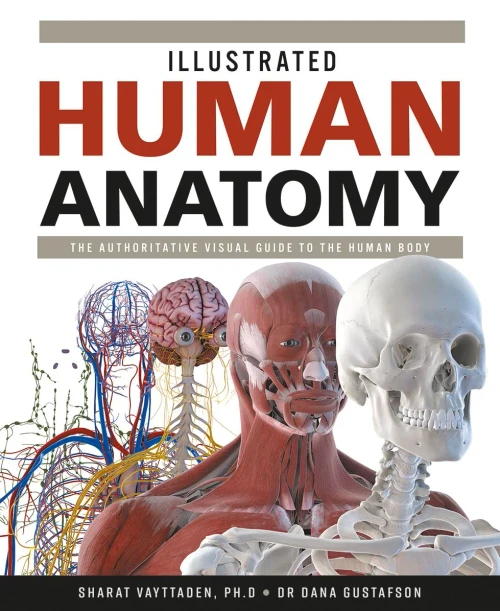 Illustrated Human Anatomy: The Authoritative Visual Guide To The Human Body