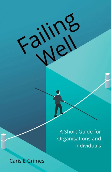 Failing Well: A Short Guide For Organisations And Individuals - 9781912863853
