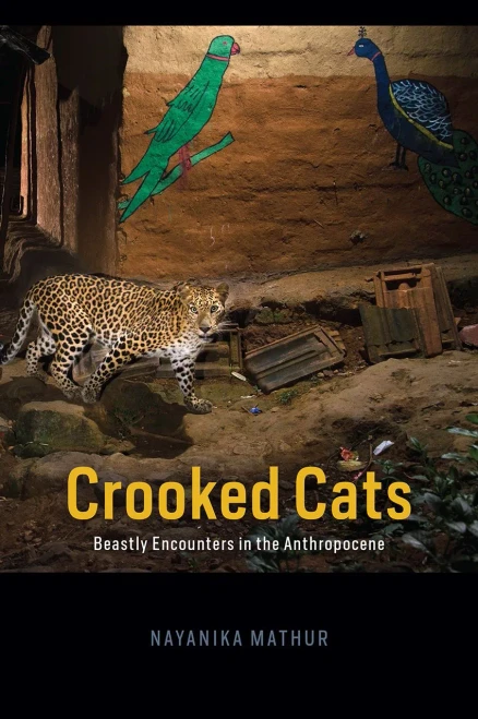 Crooked Cats: Beastly Encounters In The Anthropocene (Animal Lives) - 9780226771922