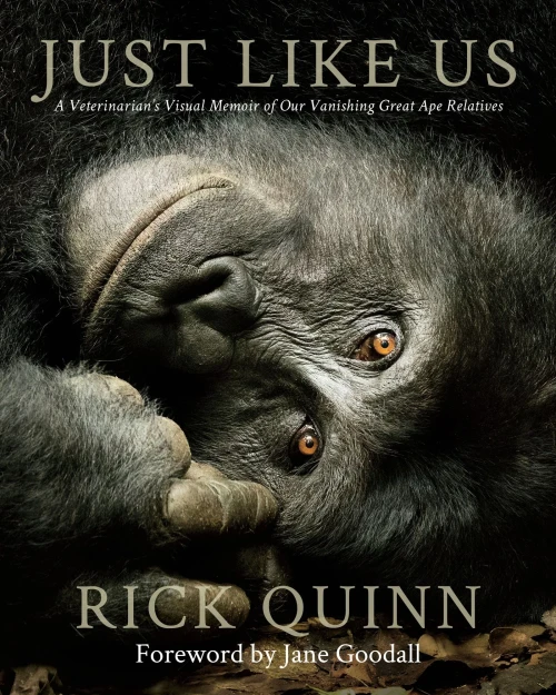 Just Like Us: A VeterinarianS Visual Memoir Of Our Vanishing Great Ape Relatives