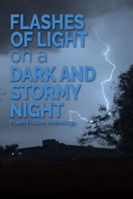Flashes Of Light On A Dark And Stormy Night: Flash Fiction Anthology - 9780988625297