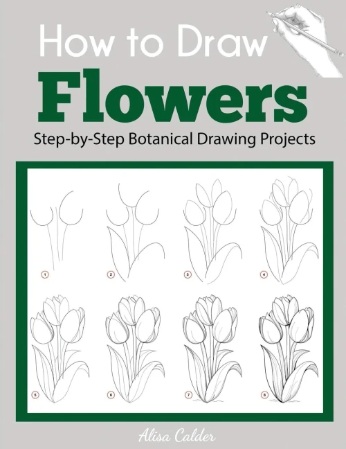 How To Draw Flowers: Step-By-Step Botanical Drawing Projects (Beginner Drawing Guides)