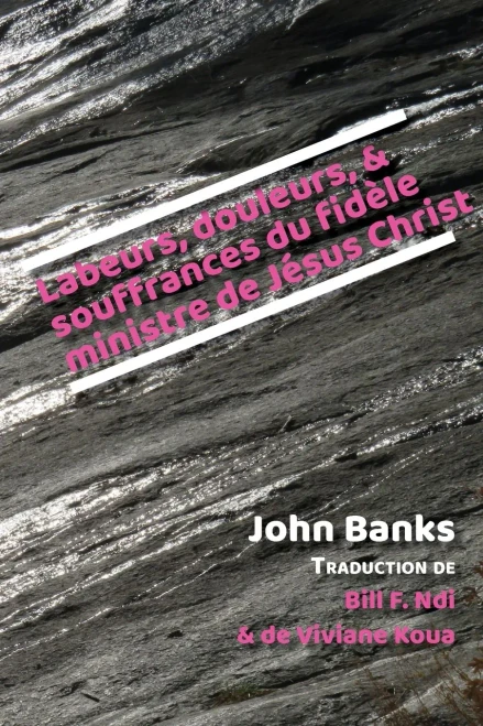 Labeurs, Douleurs, Et Souffrances Du Fidã¨Le Ministre De Jã©Sus Christ (French Edition)