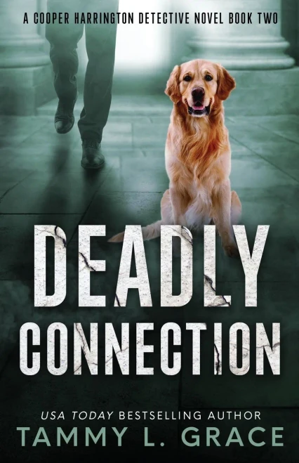 Deadly Connection: A Cooper Harrington Detective Novel (Cooper Harrington Detective Novels)