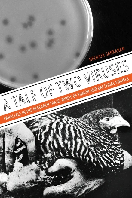 A Tale Of Two Viruses: Parallels In The Research Trajectories Of Tumor And Bacterial Viruses