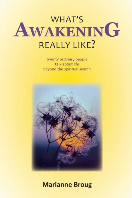 What'S Awakening Really Like?: Twenty Ordinary People Talk About Life Beyond The Spiritual Search