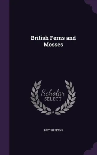 British Ferns And Mosses