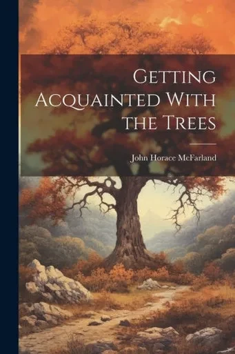 Getting Acquainted With The Trees