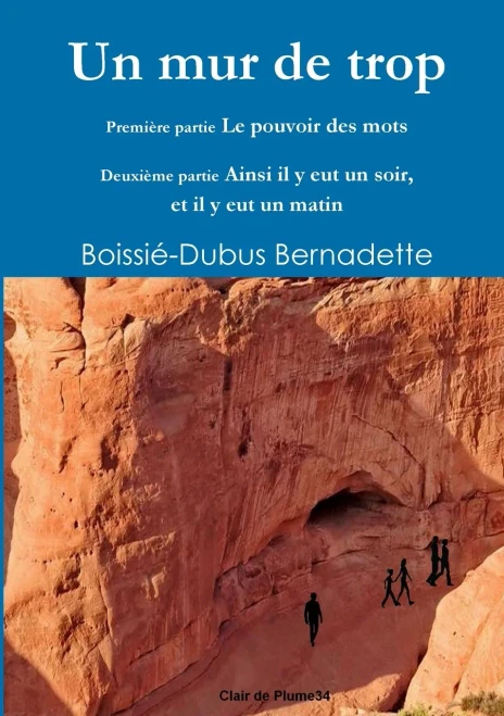 Un Mur De Trop (French Edition)