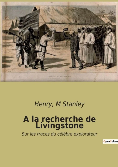A La Recherche De Livingstone: Sur Les Traces Du Célèbre Explorateur (French Edition)