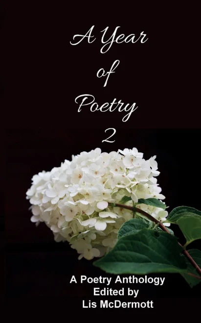 A Year Of Poetry 2 - 2022  2023