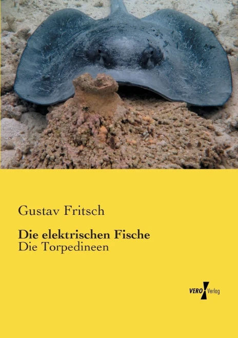Die Elektrischen Fische: Die Torpedineen (German Edition)
