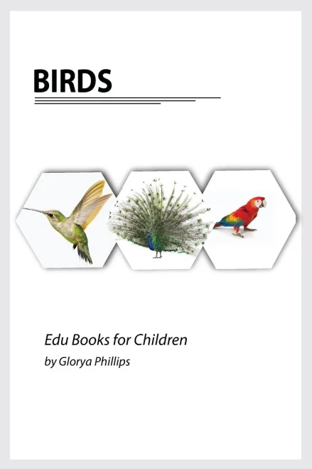 Birds: Montessori Real Birds Book, Bits Of Intelligence For Baby And Toddler, Children'S Book, Learning Resources. (Edu Books For Children)