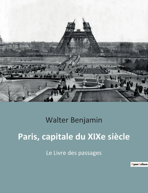 Paris, Capitale Du Xixe Siècle: Le Livre Des Passages (French Edition)