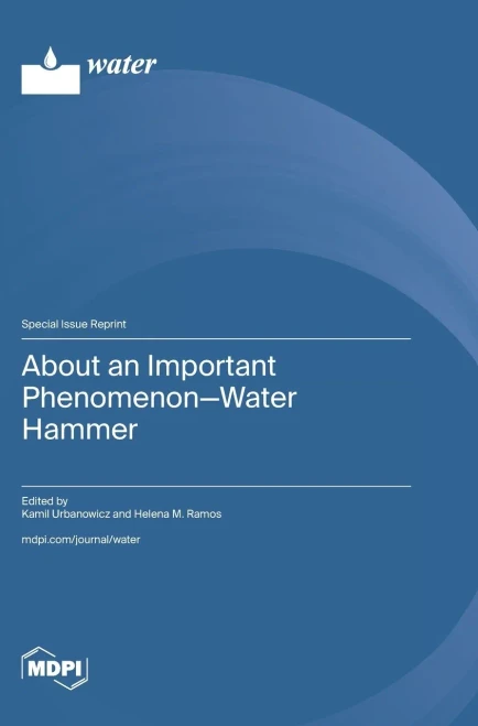 About an Important Phenomenon-Water Hammer