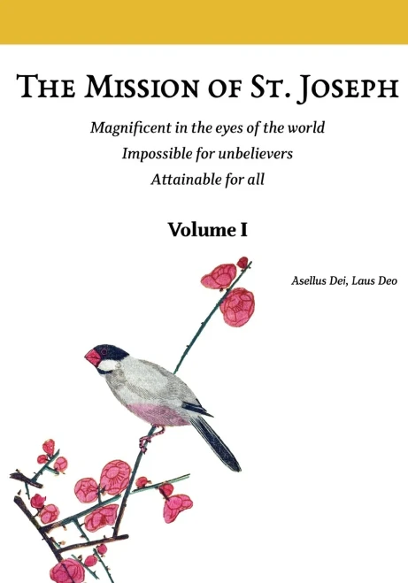 The Mission of St. Joseph. Volume I (color Version) : Magnificent in the Eyes of the World. Impossible for Unbelievers. Attainable for All