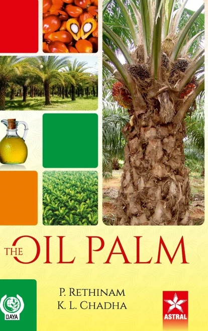 Oil Palm