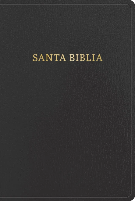 Rvr 1960 Biblia Letra Gigante, Negro, Imitación Piel Con Índice (2023 Ed.)