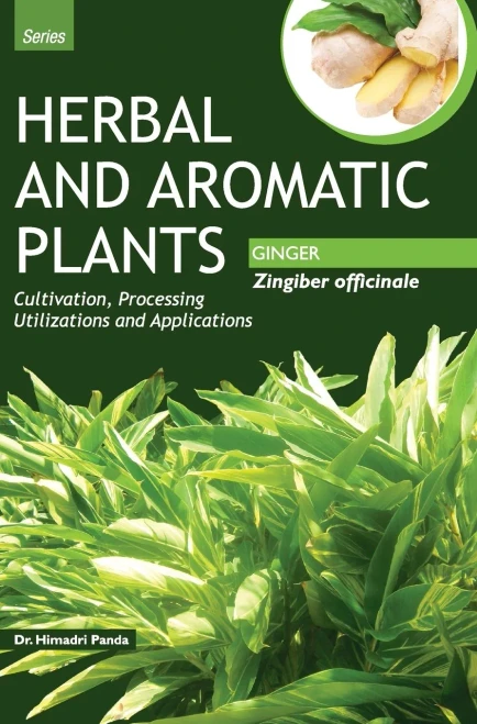 HERBAL AND AROMATIC PLANTS - Zingiber Officinale (GINGER)