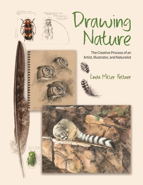 Drawing Nature : The Creative Process of an Artist, Illustrator, and Naturalist