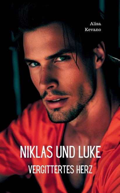 Niklas und Luke : Vergittertes Herz
