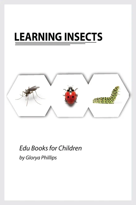 Learning Insects: Montessori Real Insects Book For Babies And Toddlers, Bits Of Intelligence For Baby And Toddler, Children'S Book, Learning Resources. (Edu Books For Children)