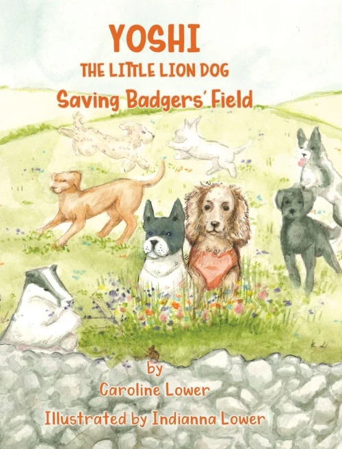 Yoshi : Saving Badgers' Field