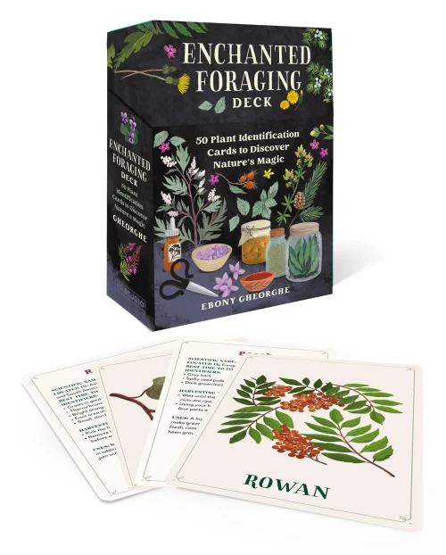 ENCHANTED FORAGING DECK : 50 Plant Identification Cards to Discover Nature's Magic