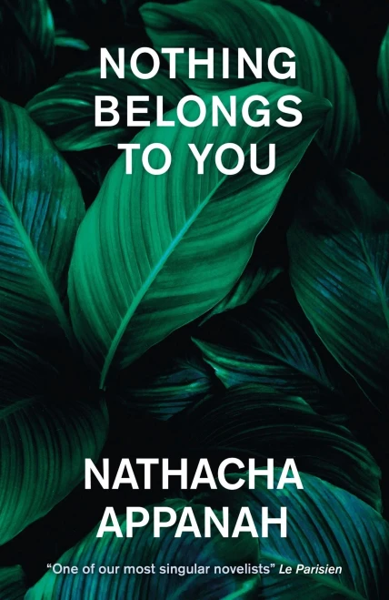 Nothing Belongs to You