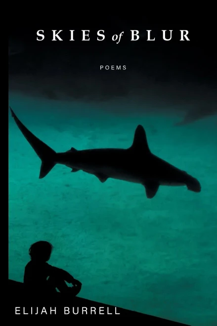 Skies of Blur : Poems