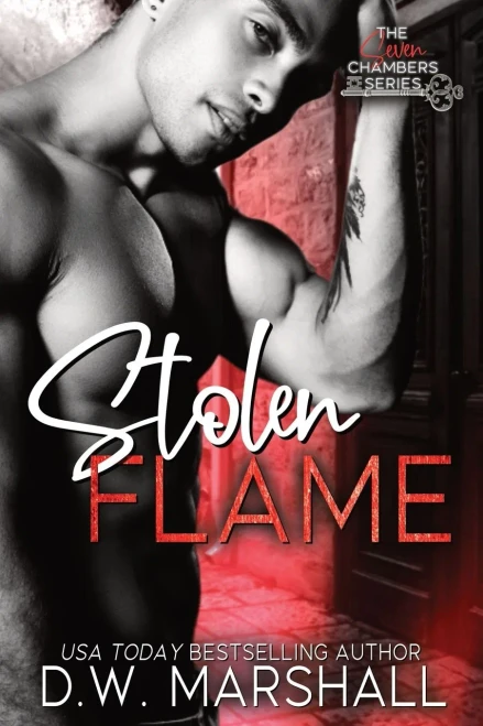 Stolen Flame (The Seven Chamber Series)