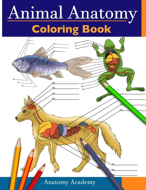 Animal Anatomy Coloring Book: Incredibly Detailed Self-Test Veterinary Anatomy Color Workbook | Perfect Gift For Vet Students & Animal Lovers - 9781914207501