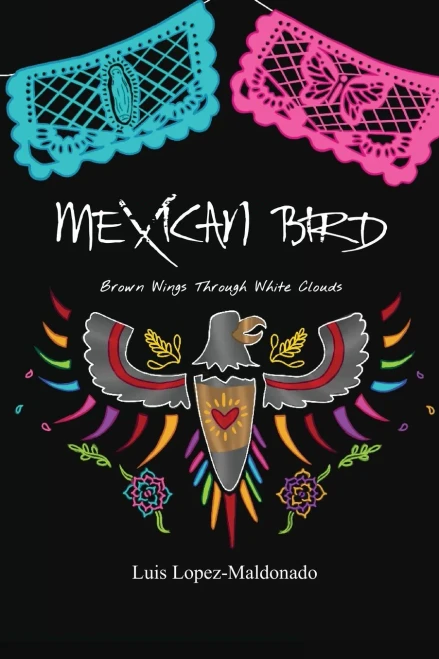 Mexican Bird : Brown Wings Through White Clouds