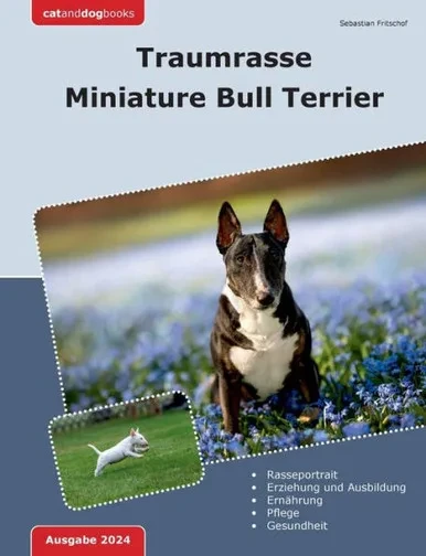 Traumrasse Miniature Bull Terrier