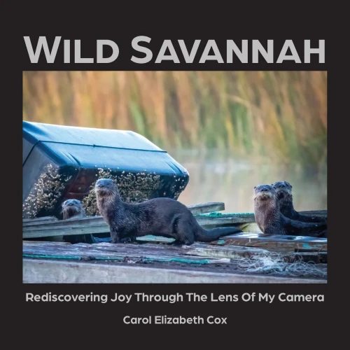 Wild Savannah : Rediscovering Joy Through The Lens of My Camera