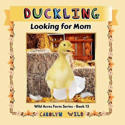 Duckling : Looking For Mom