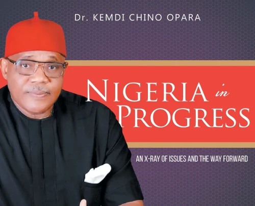 Nigeria in Progress : An X-ray of Issues and the Way Forward