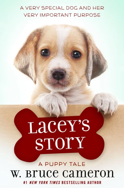 Lacey's Story : A Puppy Tale