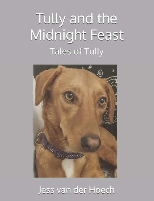 Tully and the Midnight Feast