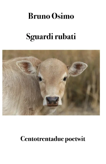 Sguardi rubati. Centotrentadue poetwit