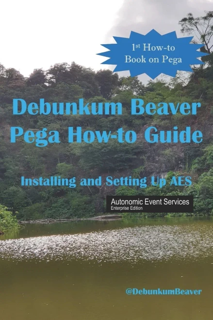 Debunkum Beaver Pega How-to Guide : Installing and Testing AES