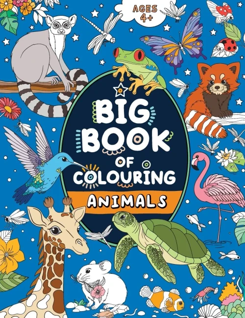 Big Book of Colouring : For Children Ages 4+