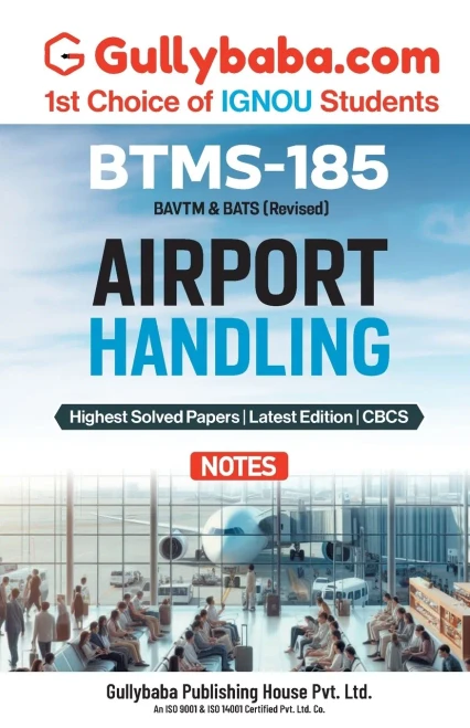 BTMS-185 Airport Handling