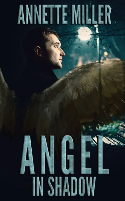 Angel in Shadow (4) (Angel Haven)