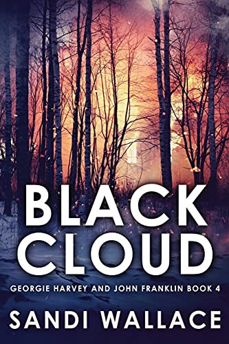 Black Cloud: Large Print Edition (Georgie Harvey And John Franklin)