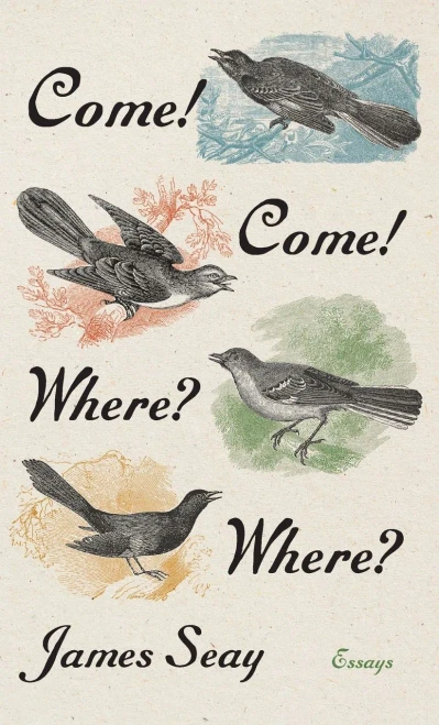 Come! Come! Where? Where? : Essays