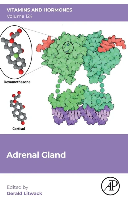Adrenal Gland